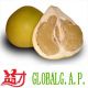 Zhangpu Yicai Fruit & Vegetable Co., Ltd.