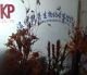 wenzhou Kaipu Biochemical Co., Ltd