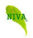 NIVA CREATIVE DESIGN LTD