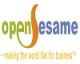 Henan Open Sesame Digital Commerce Co., Ltd.
