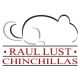 RAUL LUST CHINCHILLAS