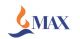 MAX INDIA LTD.