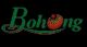 WUHU BOHONG SOLAR ELECTRICITY CO., LTD