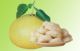 Zhejiang Pomelo Co., Ltd