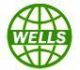Linyi Wells International Trade Co.Ltd