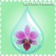 ELITECH FRANCE