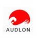 Hengshui Audlon steel wire co., ltd