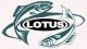 Weihai Lotus Outdoor Co., Ltd