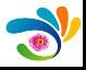 Well Make Industrial  (China) Co., Ltd
