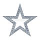 Silver Stars Trading