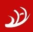 putian zhicheng daily product indusctry co.