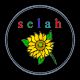 Selah Export & Import Trading co.Ltd