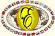 ensari foreign trade company