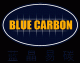 Blue Carbon New Energy Inc.