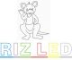 RIZ CHINA INDUSTRY LIMITED