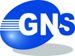 Global Network Solutions, Inc.