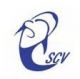 Shenzhen Strong Rising Electronics Co., Ltd