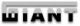 Shanghai Giant Industrial Co., Ltd