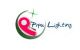 Shenzhen Pipu Lighting  Co., Ltd