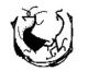 JIALONG GLASS CO.,LTD