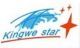 Shenzhen Kingwe Star Opto-Electronics Technology Co. Ltd