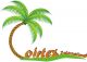 Coirtex International