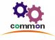 taian common rail industry and trading co., LTD