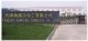 Tianjin Na Weier Chemicals Co., Ltd.