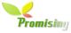 Promising Group Limited