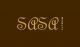 Sasa Exports