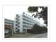 yangtai wire&cable co, ltd