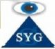 SYG International Group Development Ltd