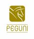 PEGUNI CORPORATION