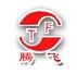 SHANDONG TENGFEI GYPSUM MACHINERY MANUFACTURING CO., LTD