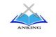 Shanghai Anking Industrial Technology Co. Ltd.