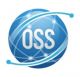 Oss Exports Pvt Ltd