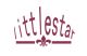  Hongkong Littlestar technology Co., Ltd