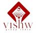 Vishw group india