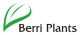 Berri Plants