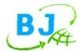 Baojing Import & Export Co., Ltd