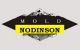 Shenzhen Nodinson Plastic Mould Co., Ltd
