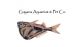 Guyana Aquarium & Pet Company