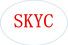 hongkong skyc international industry limited (guangdong branch)