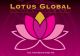 LOTUS GLOBAL - South Africa