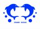 Dandong Grand Ocean Foods Co., Ltd.