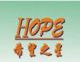 Shenzhen Hopestar Sci-tech Co., Ltd