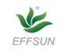 Shenzhen effsun wind power Inc