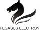 Pegasus Technology Co., Ltd