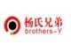 Shenzhen Brother Young Development Co., Ltd