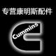 YZCUMMINS CO., LTD